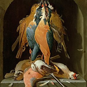 Still life of birds (oil on panel)