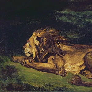 Lion Resting (oil on canvas)