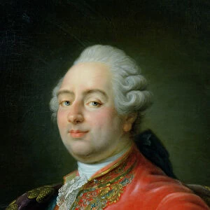 Louis XVI (1754-93) 1786 (oil on canvas) (detail of 180025)
