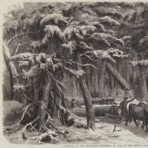 Lumbering in New Brunswick, Lumbermen at Work in the Forest (engraving)