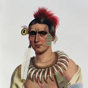 Ma-Has-Kah or White Cloud, an Iowa Chief, illustration from The Indian