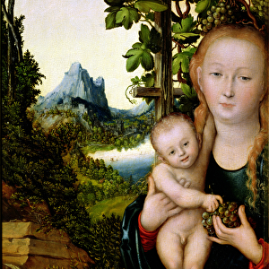 Madonna and Child, c. 1525 (oil on wood)
