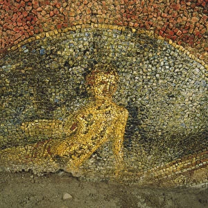 Mosaic from an ancient building below the barracks of the Cuirassiers at the Quirinale
