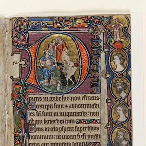 MS 1-2005, fol. 77r: David and the Fool, historiated initial from the Macclesfield