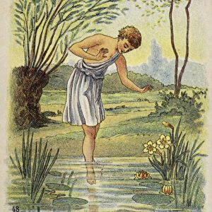 Narcissus (chromolitho)