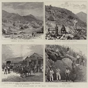 The New Goldfields at De Kaap Transvaal, South Africa (engraving)
