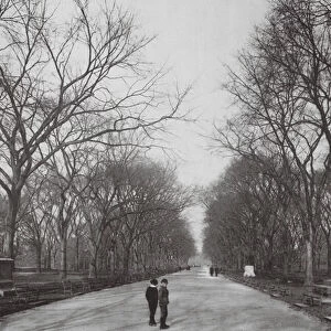 New York: The Mall in Central Park, Winter View (b / w photo)