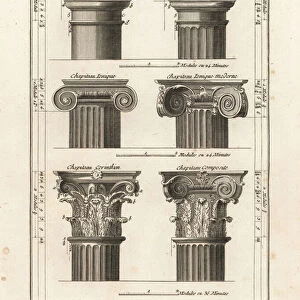 Orders of capitals in Greek and Roman architecture. 1778 (engraving)