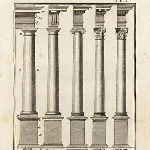 Five orders of columns in Greek and Roman architecture. 1778 (engraving)