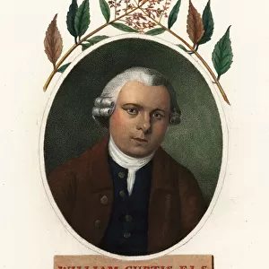 Oval portrait of William Curtis, botanist and publisher. 1803 (engraving)