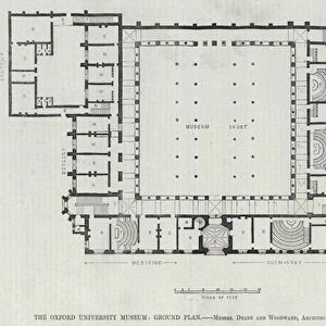 The Oxford University Museum, Ground Plan (engraving)