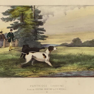 Partridge Shooting (colour litho)