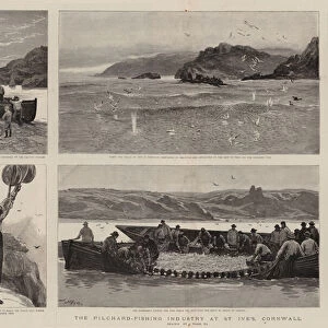 The Pilchard-Fishing Industry at St Ive s, Cornwall (engraving)