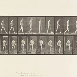 Plate 554. Locomotor Ataxia; Walking, 1885 (collotype on paper)