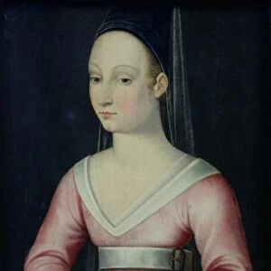 Portrait of Agnes Sorel (oil on panel)