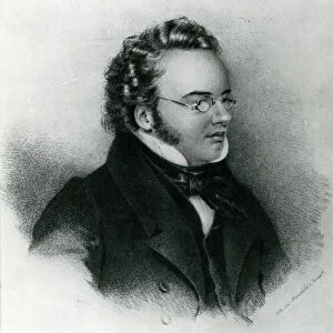 Portrait of Franz Schubert (1797-1828) (engraving)