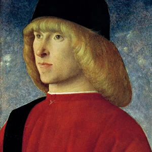 Portrait of a Young Senator, 1485-90 (oil on panel)