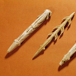 Prehistory: reindeer harpoons used for fishing. Realized during the Magdalenian period