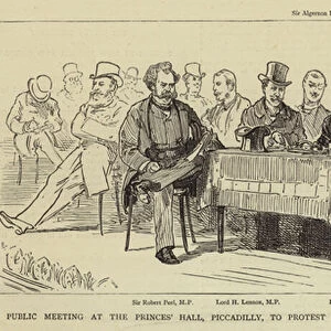 Public Meeting at the Princes Hall, Piccadilly, to protest against the Egyptian Policy of the Government (engraving)