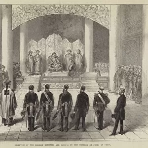 Reception of the Foreign Ministers and Consuls by the Emperor of China at Pekin (engraving)