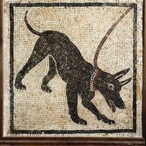 Roman art: "canem cave"(Beware of the dog) Mosaic from Pompei