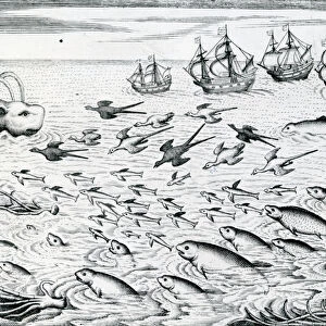 Seascape, Illustration from India Orientalis, 1598 (engraving)