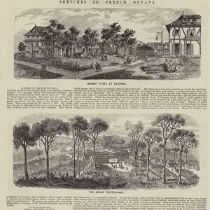 Sketches in French Guyana (engraving)