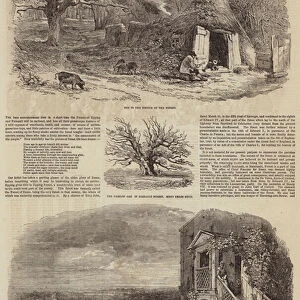 Sketches in Hainault Forest (engraving)