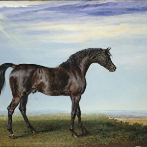 Smolensko, 1826 (oil on panel)