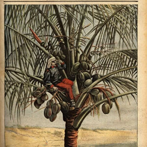 Spanish sentinel watching the coastlines, from an observation post installed in the canopy of a coconut tree, to prevent any attempt to bark American troops during the American Hispano War in 1898 for the independence of Cuba
