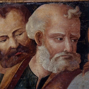 St. Peter, detail of the altarpiece depicting the Madonna and Child with Saints Peter and Paul, 1540 (tempera on panel)
