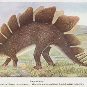 Stegosaurus (colour litho)