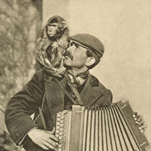 Street accordionist and his monkey (b / w photo)