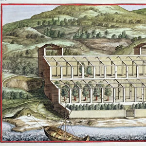 Structure of a hothouse, from Hesperides by Giovanni Battista Ferrari