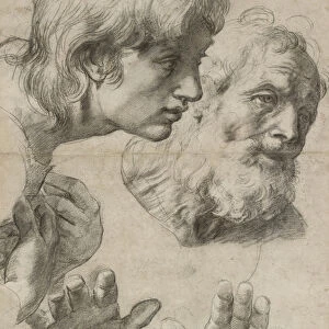 Studies of the Heads of two Apostles and of their Hands