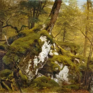Study of a Wood Interior, c. 1855 (oil on canvas mounted on panel)