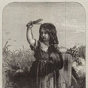 "The Little Scarecrow, "from the Exhibition of the British Institution (engraving)