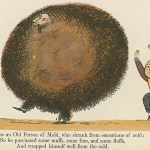 "There was an Old Person of Mold, who shrank from sensations of cold", from A Book of Nonsense, published by Frederick Warne and Co. London, c. 1875 (colour litho)