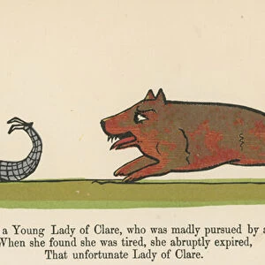 "There was a Young Lady of Clare, who was madly pursued by a Bear"from A Book of Nonsense, published by Frederick Warne and Co. London, c. 1875 (colour litho)