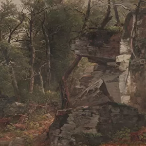 Trees on a Rocky Hillside, c. 1849 (oil on canvas)