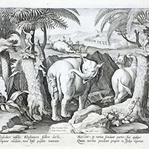 Troglodyte strategies for catching elephants, chopping off their tails to disable them, then cutting them into pieces, illustration from Venationes, Ferarum, Avium, Piscium (Of Hunting: Wild Beasts, Birds, Fish)