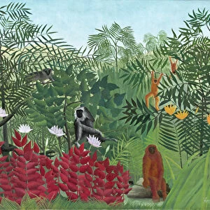 Tropical Forest with Monkeys, 1910 (oil on canvas)