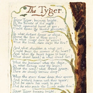 The Tyger, plate 41 from Songs of Experience, 1794 (relief etching