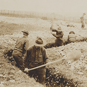 U. S. Marines in France Digging in, 1917-19 (b / w photo)