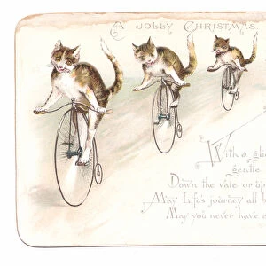 A Victorian Christmas card of four cats on penny farthing bicycles, c. 1880 (colour litho)