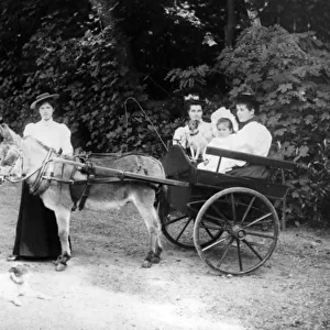 Victorian Donkey Cart, c. 1890 (b / w photo)