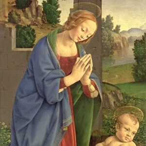 The Virgin Adoring the Child, 1490-1500 (oil on wood)