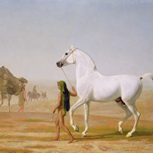 The Wellesley Grey Arabian led through the Desert, c. 1810 (oil on canvas)