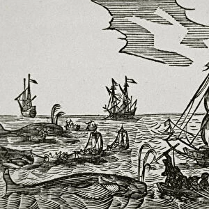 Whaling ships, from Jacob Segersz van der Brugges Journael, 1634 (woodcut)