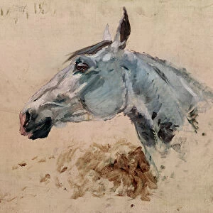 White Horse Gazelle, 1881 (oil on canvas)